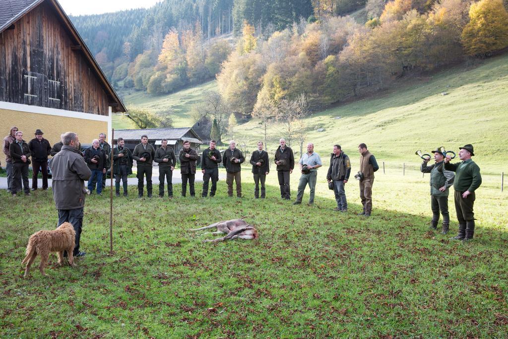 Hirschloser Steyrling Extérieur photo